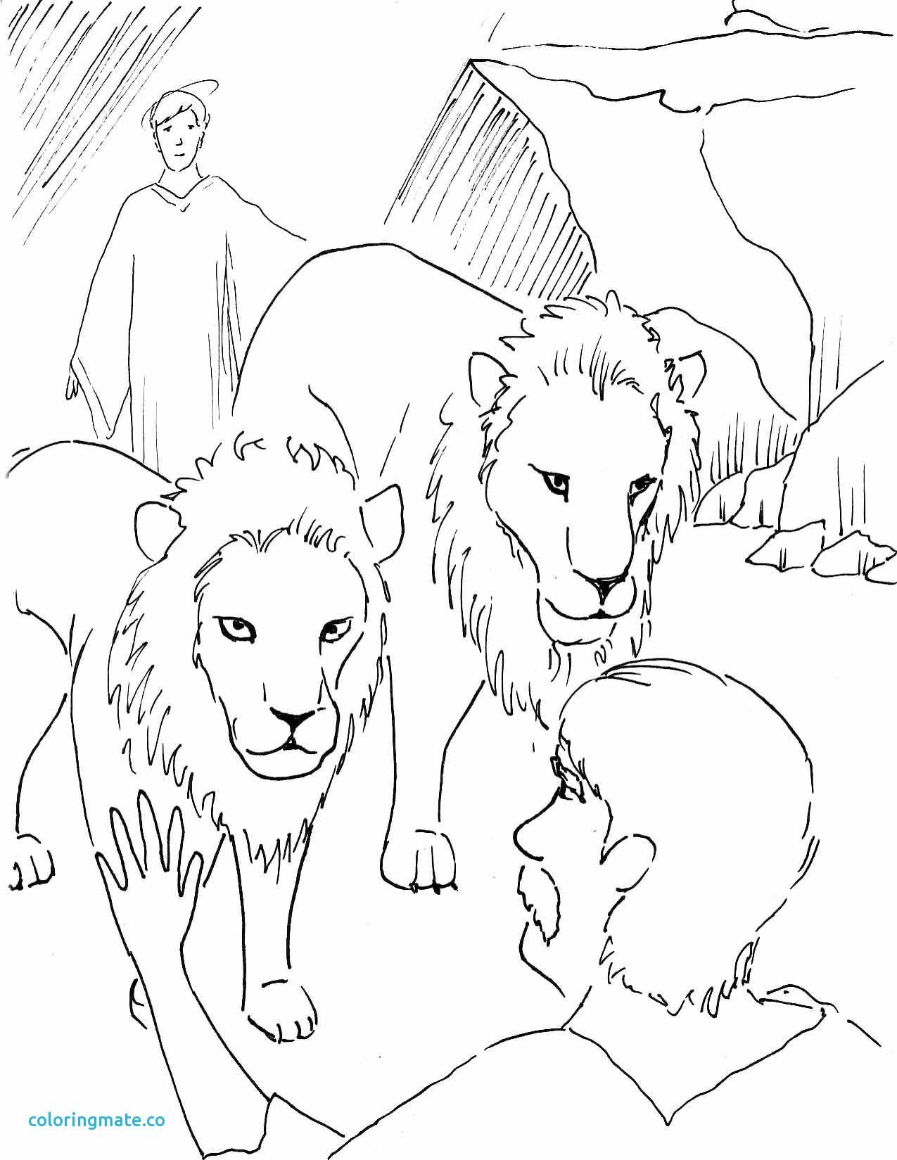 1275x1649 Daniel And The Lions Den Coloring Page Awesome Noticeable In Lion