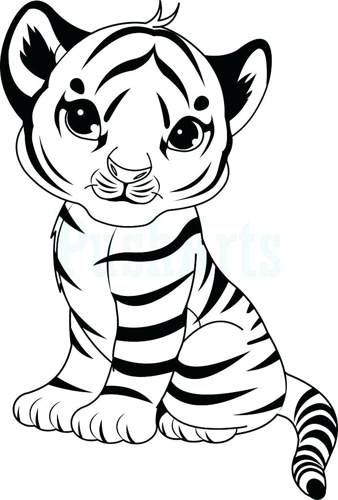 694x1024 Free Tiger Coloring Pages Free Tiger Coloring Pages Tiger Coloring
