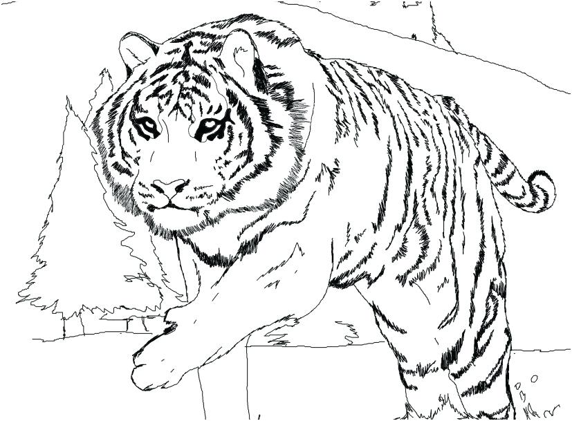 827x609 Daniel Tiger Coloring Pages Printable Tiger Neighborhood Coloring