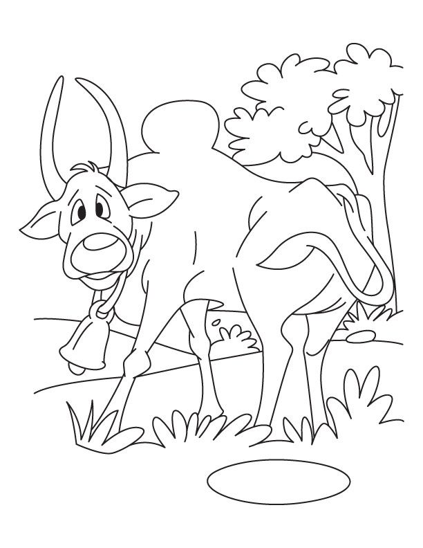 612x792 Free Printable Ox Dont Dare Attacking Back Coloring Pages