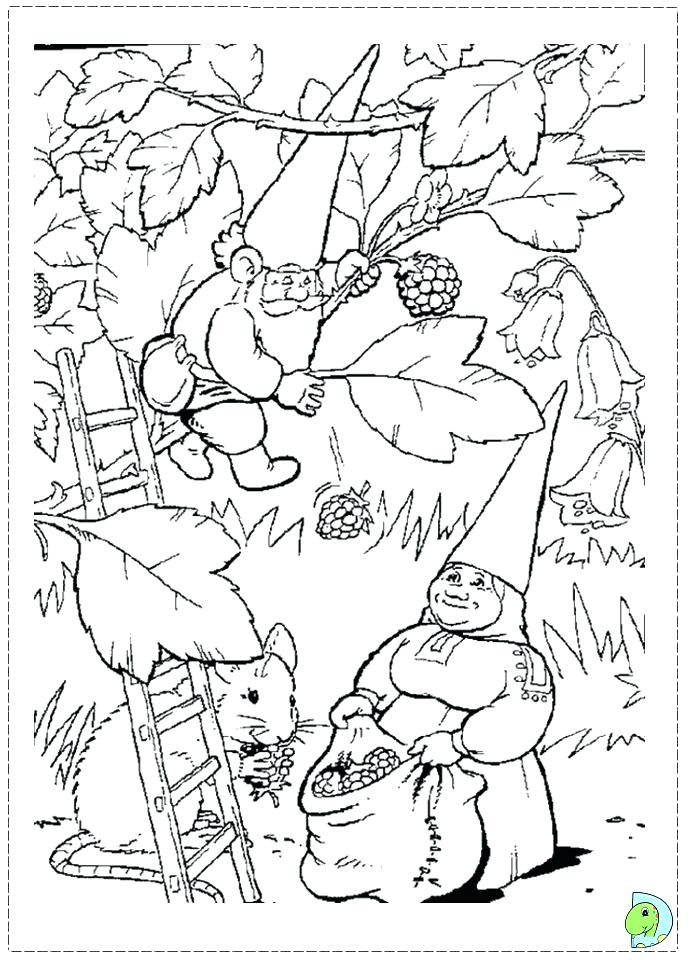 691x960 Gnome Coloring Pages X Printable Gnome Coloring Pages