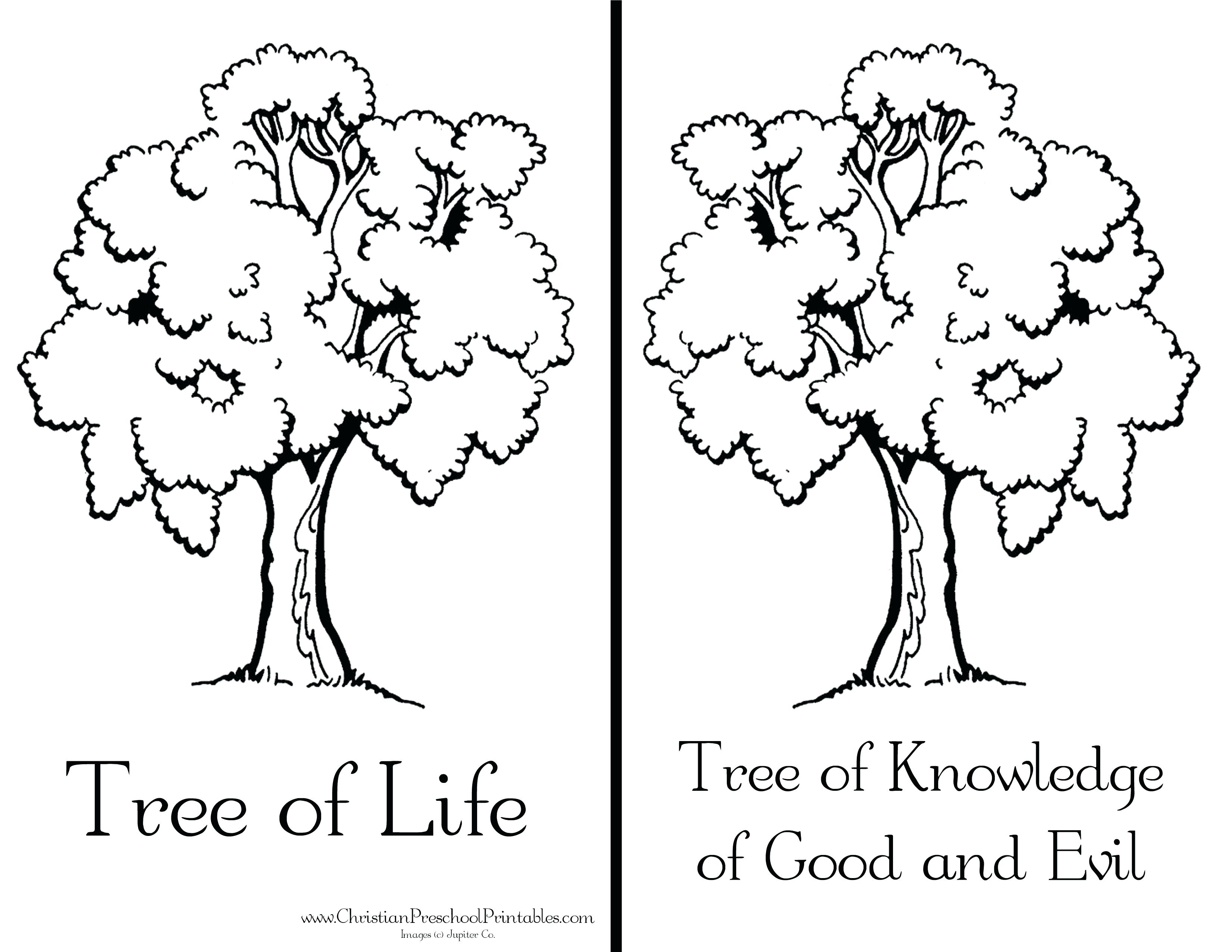 3300x2550 Creation Coloring Pages Day 1 6 Nice And Crafts Looks Affordable
