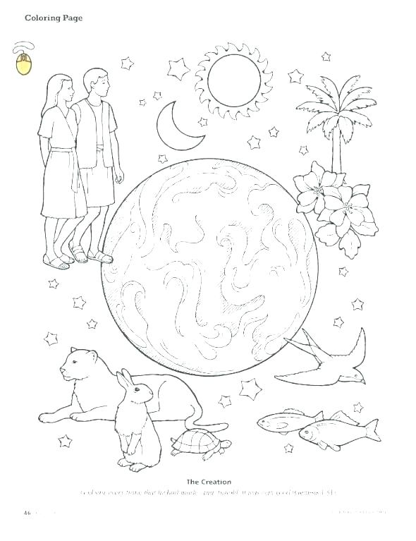 590x767 Creation Story Coloring Pages Coloring Pages Of The Bible Coloring