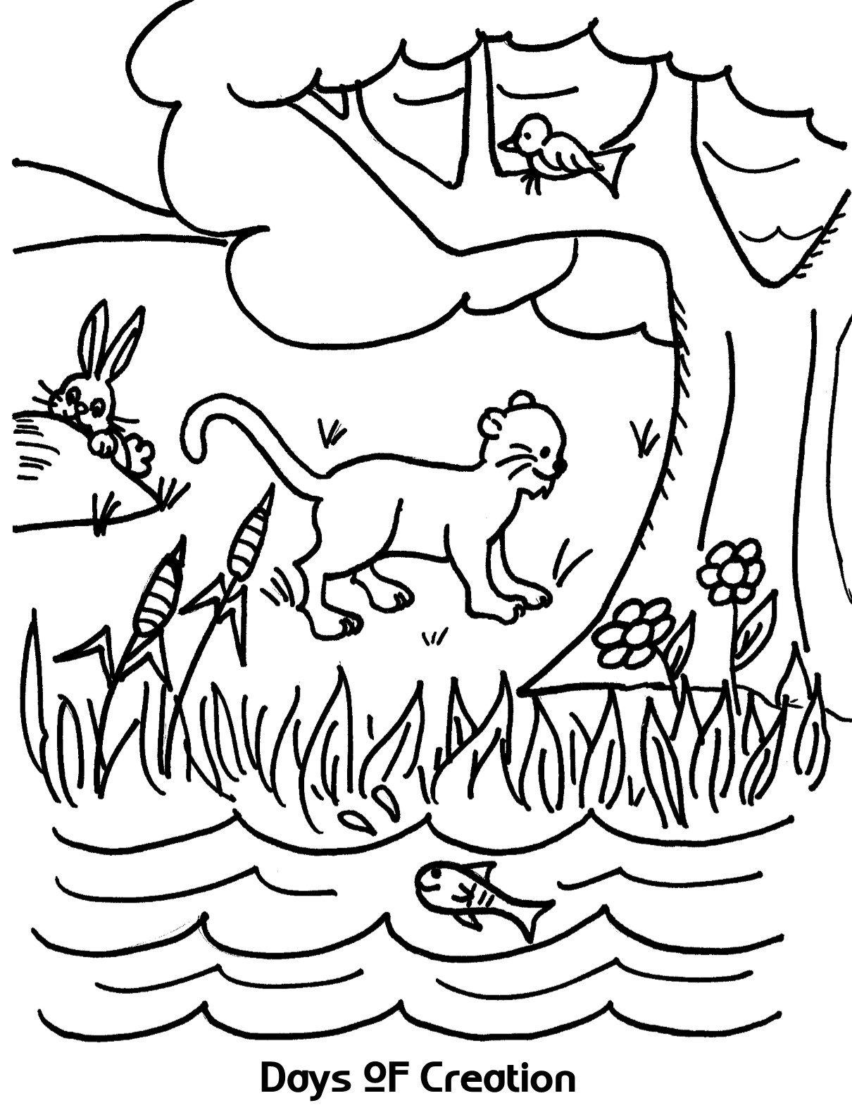 1210x1576 Days Of Creation Coloring Sheet Wesleyan Kids