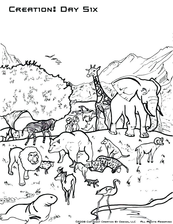 695x900 Coloring Pages Of Gods Creation