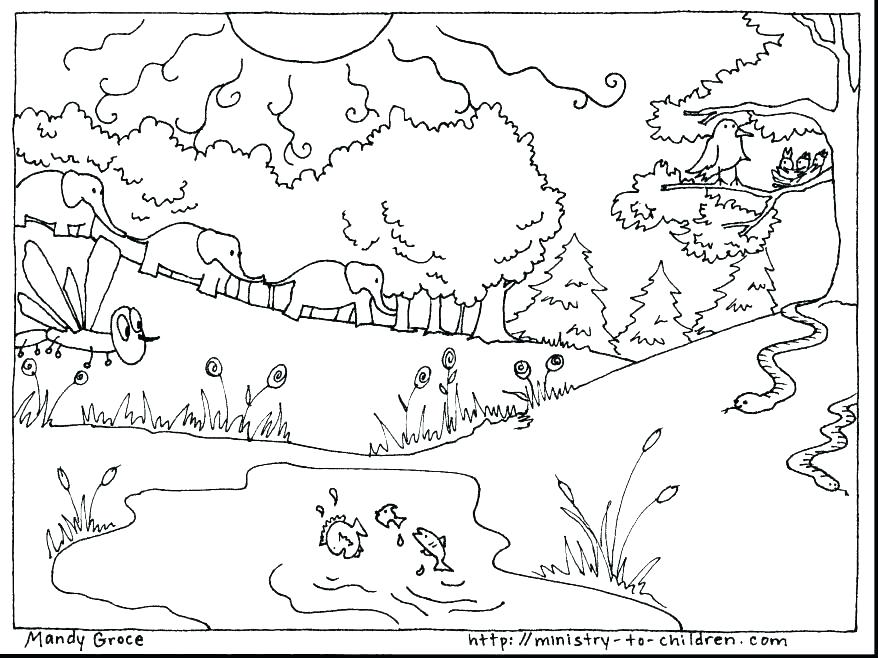 878x658 The Creation Coloring Pages For Children Creation Coloring Pages 7