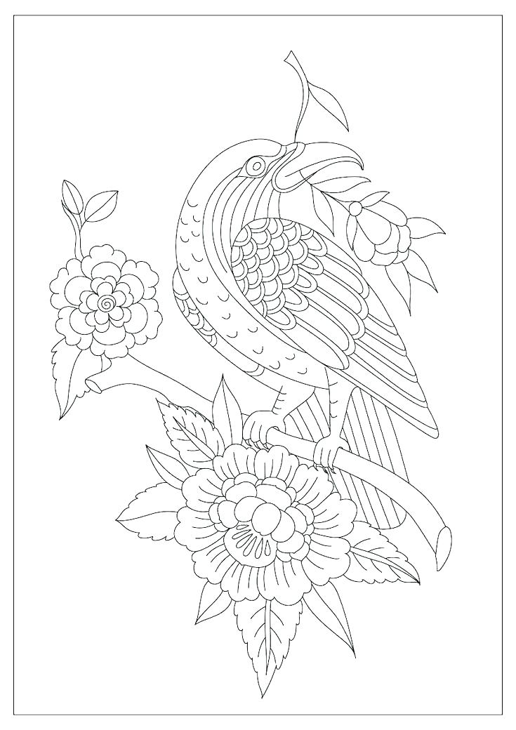 735x1040 7 Days Of Creation Color Pages Day Night Coloring And Page For 7