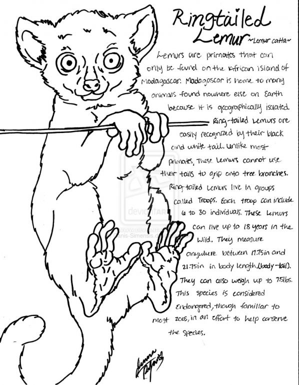 Daylight Savings Time Coloring Pages