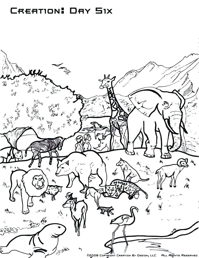 Days Of Creation Coloring Pages