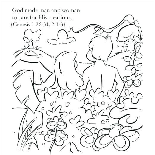 522x522 Creation Coloring Pages Creation Coloring Pages Lovely Bible Story