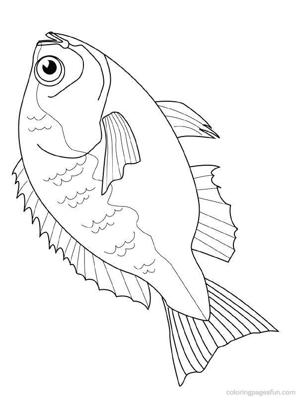 Dead Fish Coloring Pages