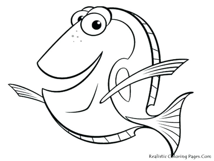 728x546 Moray Eel As Well As Fish With Flowers Coloring Page Electric Eel
