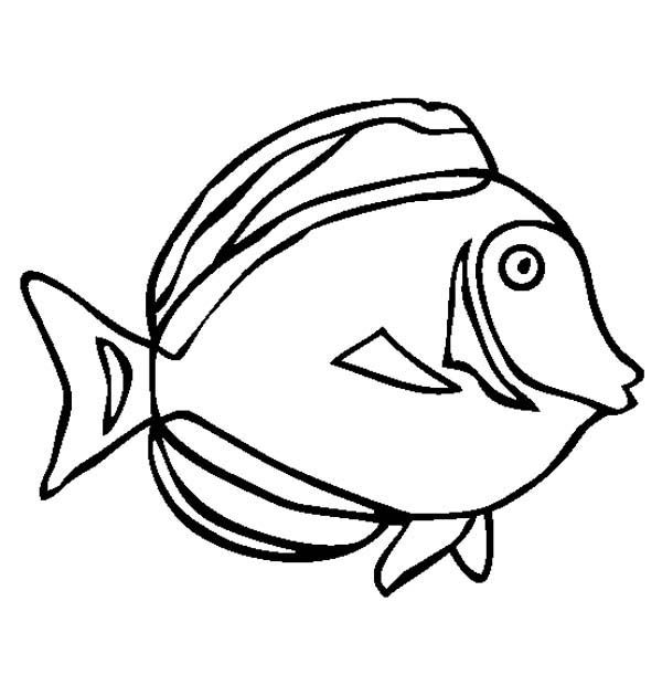 600x611 26 Best Fish Coloring Pages Images On Fish, Pisces