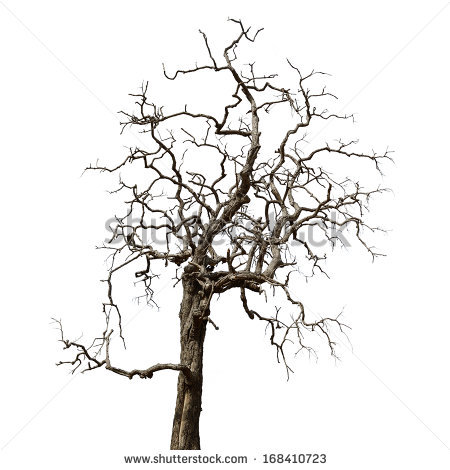 450x470 Drawn Dead Tree Background 3302923