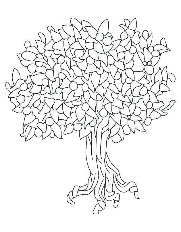 630x810 Leafless Tree Outline Printable Dead Tree Without Leaves Stock