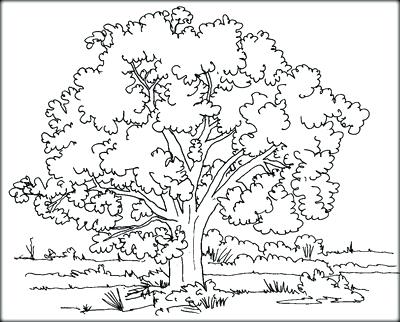 400x322 Printable Leaves Coloring Pages Of To Color We Are Fall Coloring