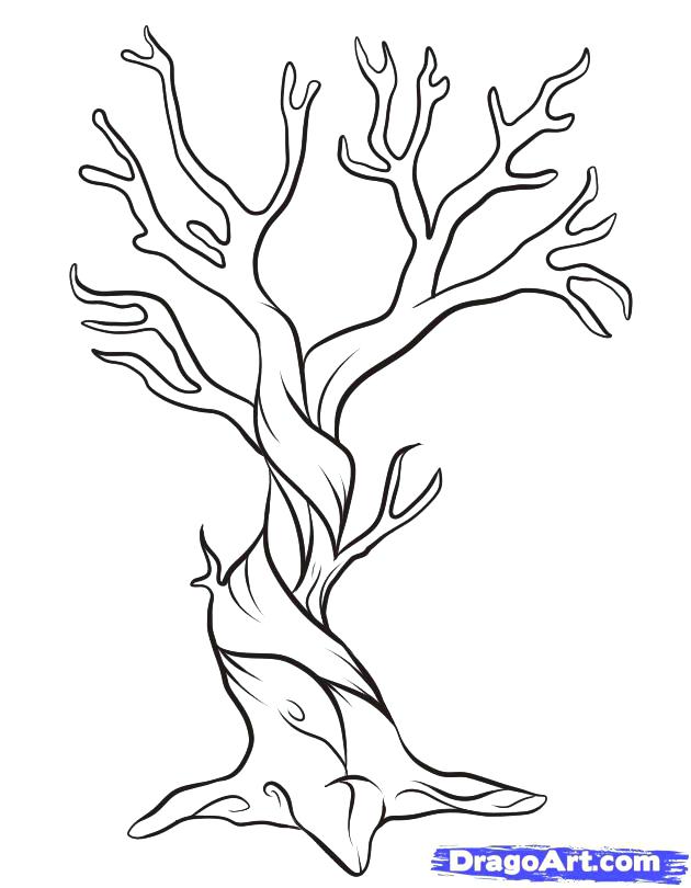 630x810 Tree Template Coloring Page Bare Good For Home Outline