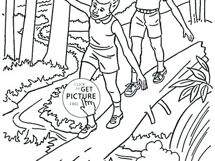 440x330 Forest Animals Coloring Pages Trees Coloring Pages Oak Tree In