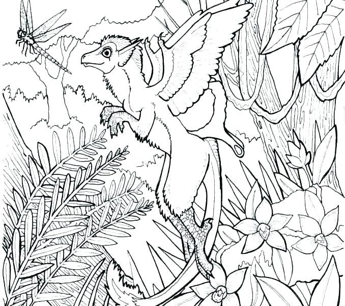 678x600 Forest Coloring Pages Artist Enchanted Forest Coloring Pages