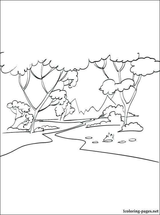 560x750 Forest Coloring Pages Forest Coloring Page Rainforest Coloring