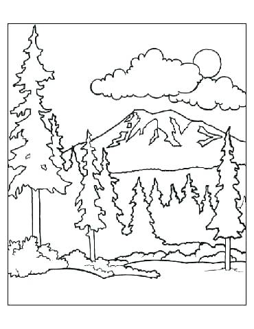 370x480 Forest Coloring Pages Printable Forest Coloring Pictures Deciduous