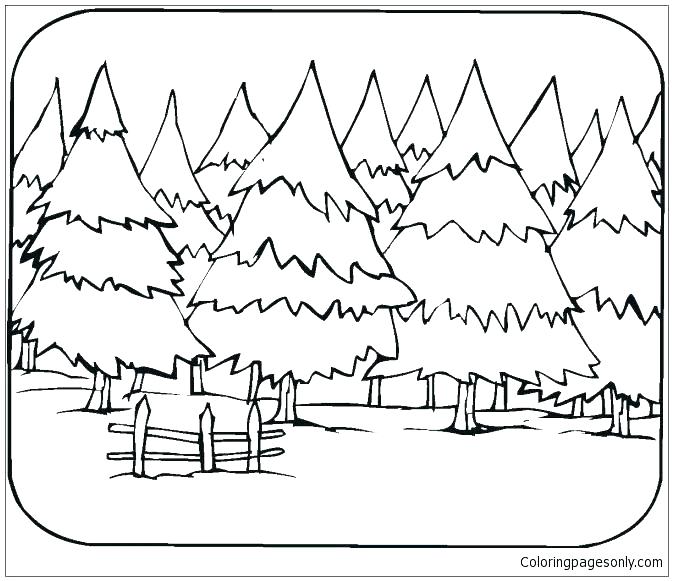 673x581 Forest Colouring Pages Forest Coloring Pictures Deciduous Forest