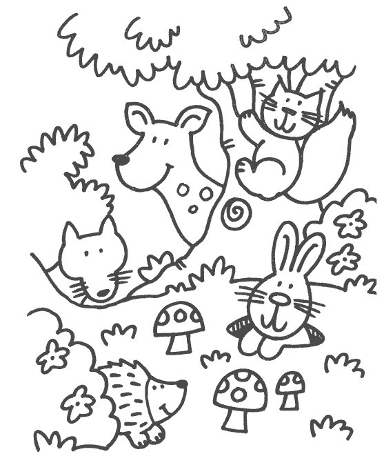557x674 Forest Animals Coloring Pages Deciduous Forest With Animals