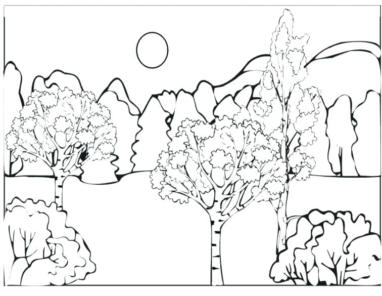 756x585 Coloring Pages Forest Forest Animals Coloring Pages Forest Animals