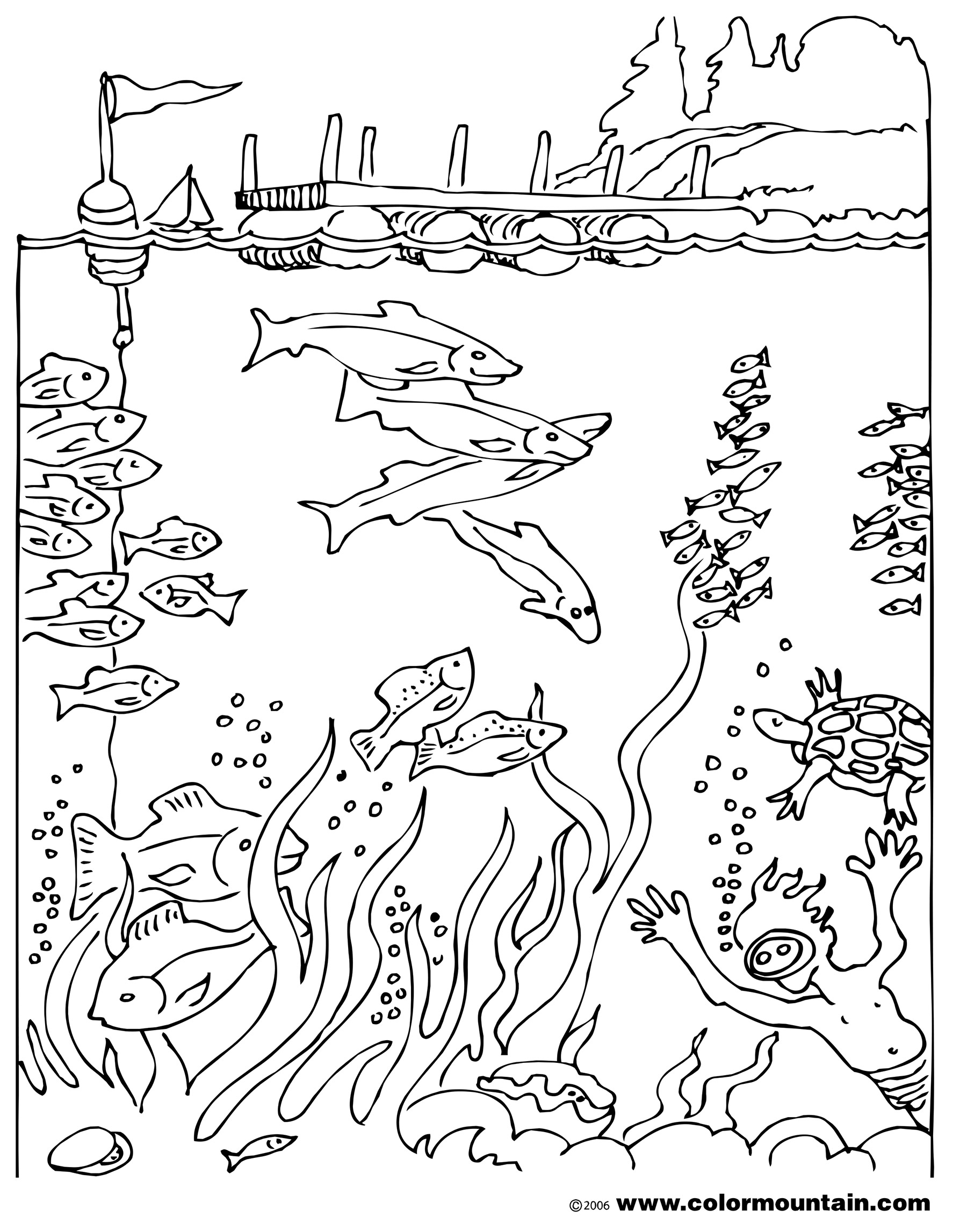 1800x2294 Activity Diver Coloring Sheet Maze