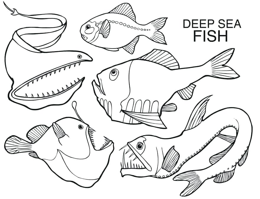 880x675 Sea Creatures Coloring Pages Deep Sea Fish Creatures Coloring