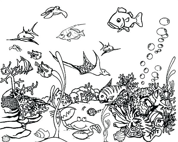 600x480 Coloring Pages Under The Sea Deep Sea Coloring Pages Jellyfish