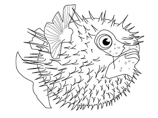 600x450 Sea Creature Coloring Pages Images Of Deep Sea Creatures Coloring