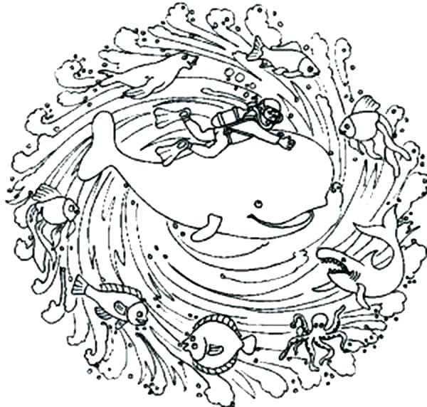 600x572 Sea Creature Coloring Pages Sea Creatures Coloring Sea Animal