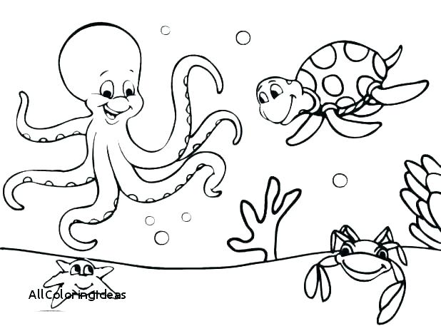 618x464 Coloring Pages Under The Sea Vanda