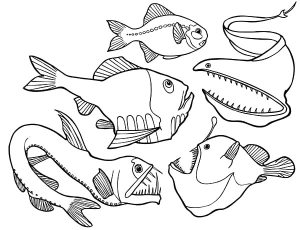 600x460 Deep Sea Coloring Pages
