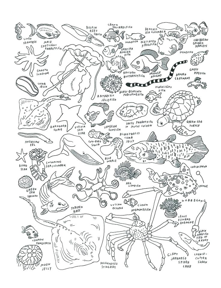 736x959 Deep Sea Coloring Pages Sea Monster Coloring Pages Best Of Sea