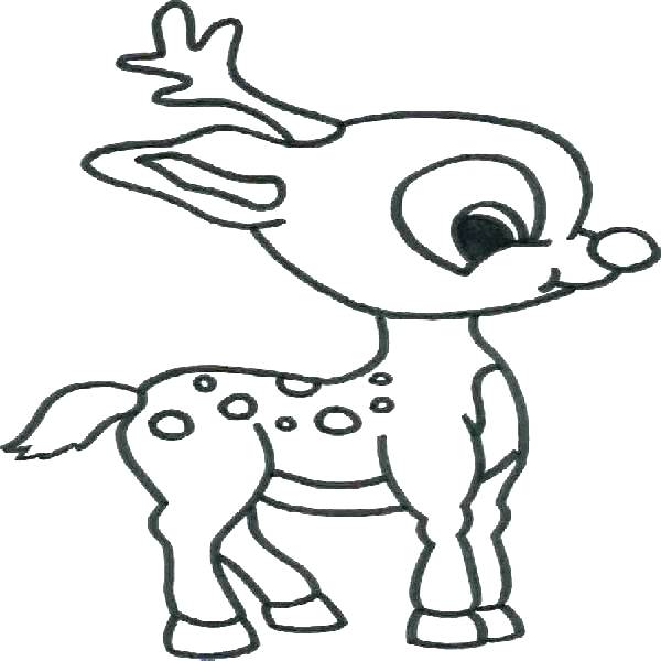 600x600 Deer Coloring Pages Coloring Pages Of Deer Deer Coloring Picture