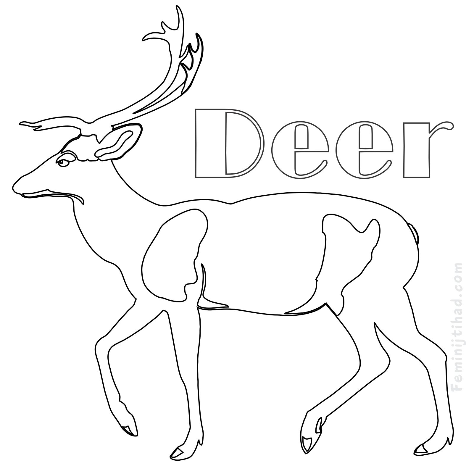 1575x1575 Printable Deer Coloring Pages Free Download Coloring Pages For Kids