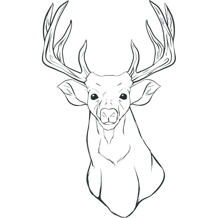 728x728 Browning Coloring Sheets Doe Page Pages Coloring Trend Thumbnail