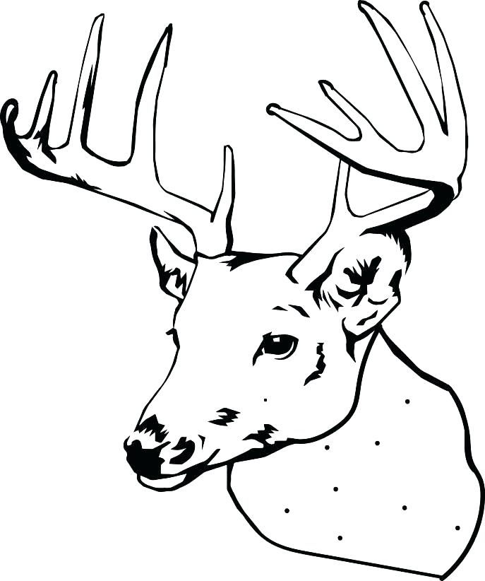 687x822 Free Deer Coloring Pages Adult Coloring Pages Deer Free Free Deer