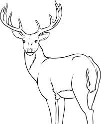 203x249 Free Printable Deer Coloring Pages For Kids Wood Burning