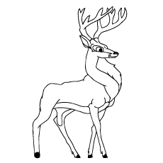 230x230 Top 20 Deer Coloring Pages For Your Little Ones