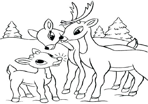 476x333 Baby Deer Coloring Pages Impair.co