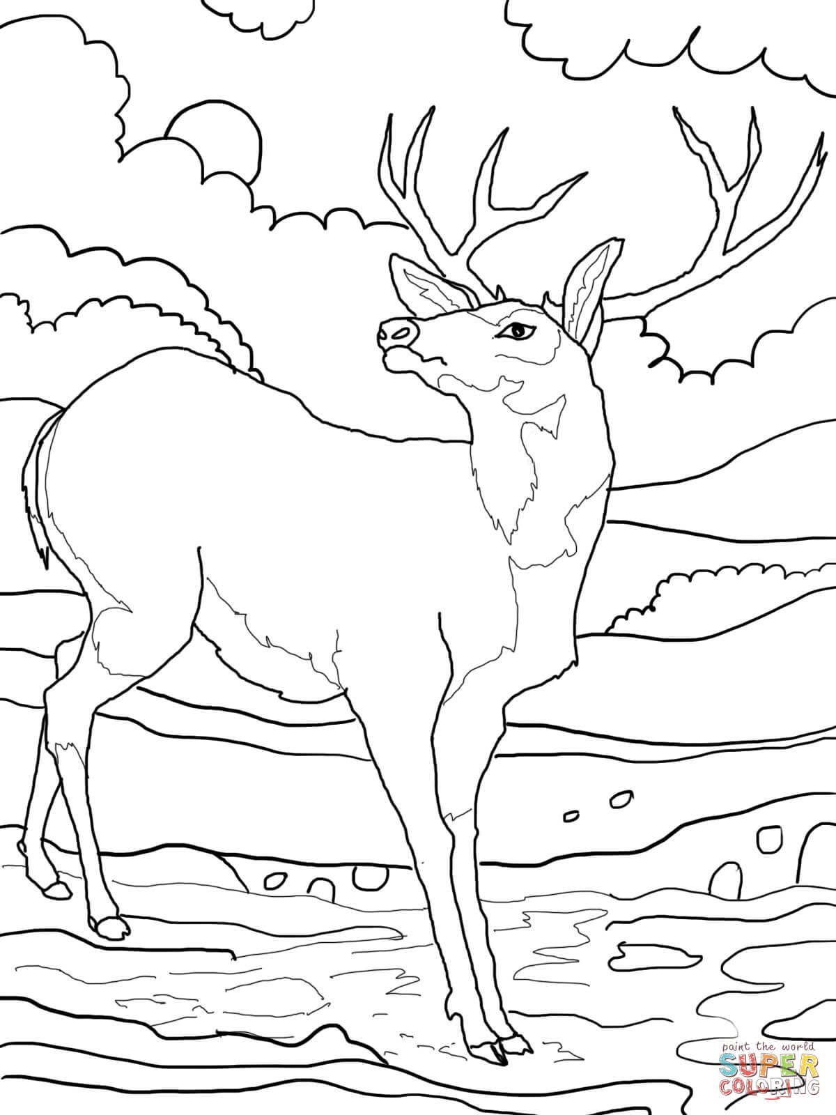 1200x1600 Coloring Pages Draw A Deer
