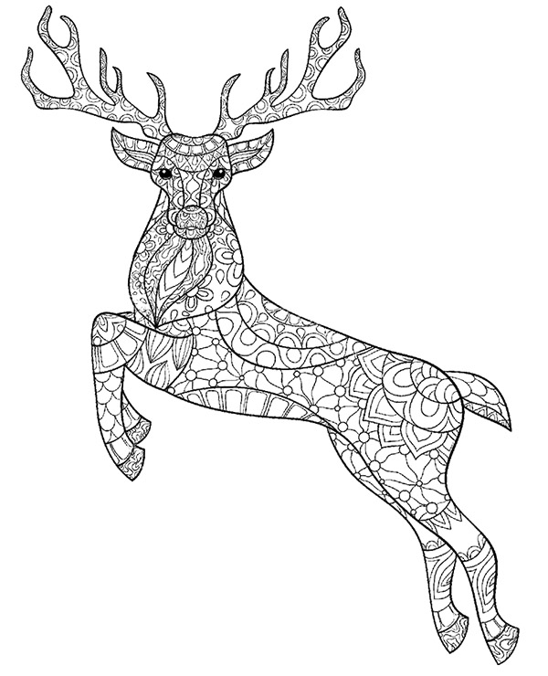 600x740 Deer, Stag Printable Colouring Pages For Adults