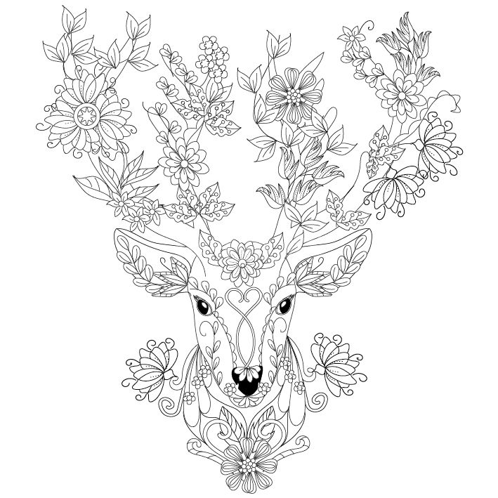 709x709 Deer Coloring Page Design Ms Tattoos ( Adult