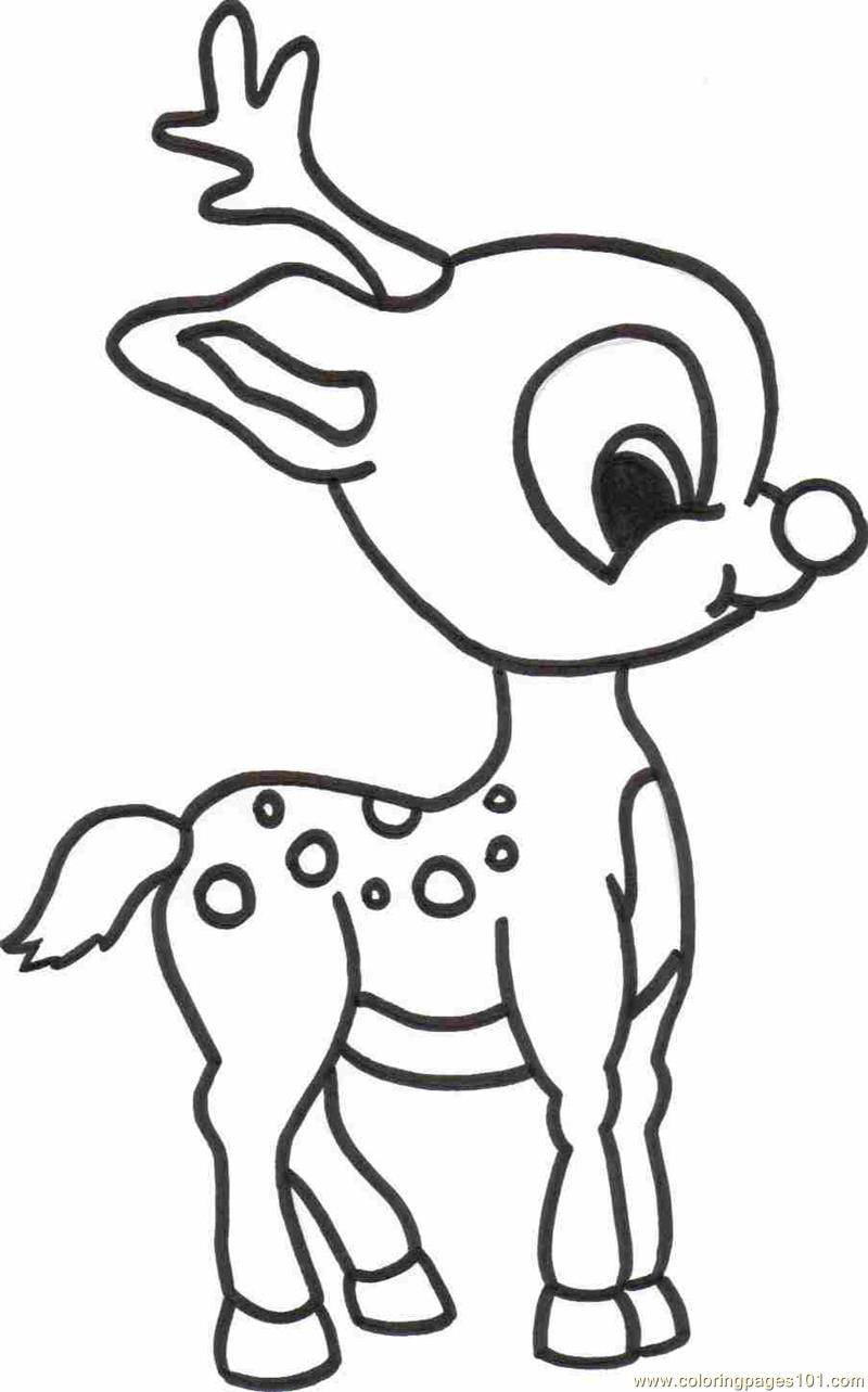 800x1283 Baby Deer Coloring Page Free Pages Unbelievable Wagashiya