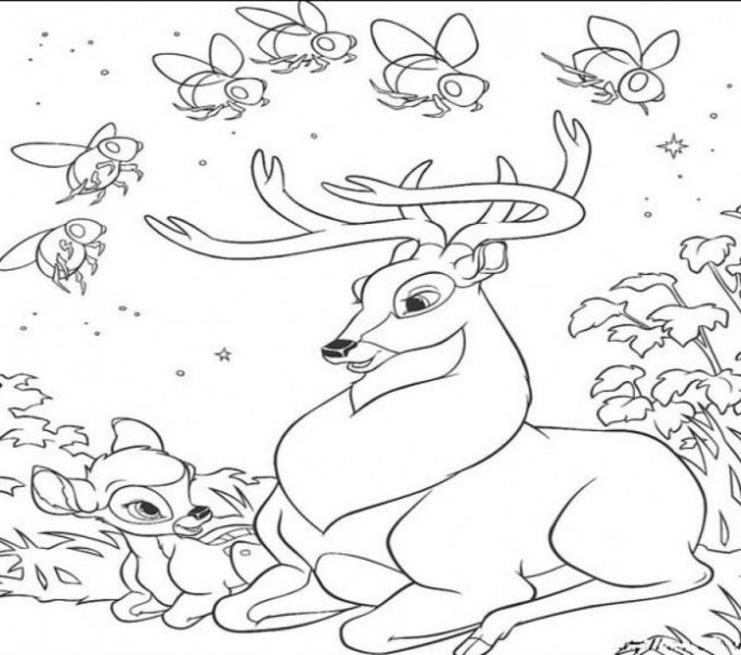 678x600 Deer Coloring Pages Printable Free Deer Coloring Page Vitlt Cool