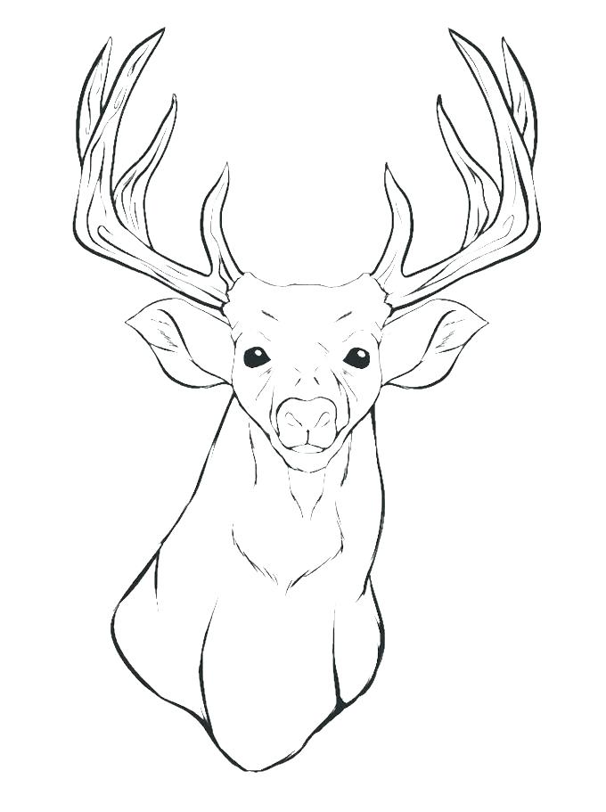 680x911 Deer Hunting Coloring Pages Deer Coloring Pages Baby Hunting