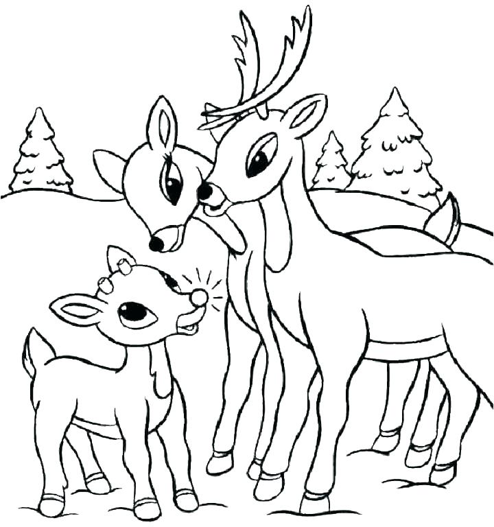 720x768 Whitetail Deer Coloring Pages Deer Coloring Pictures To Print Free
